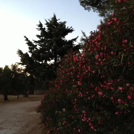Hébergement de vacances La Giara San Vito Lo Capo Castelluzzo
